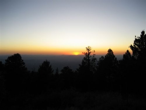 IMG_4725